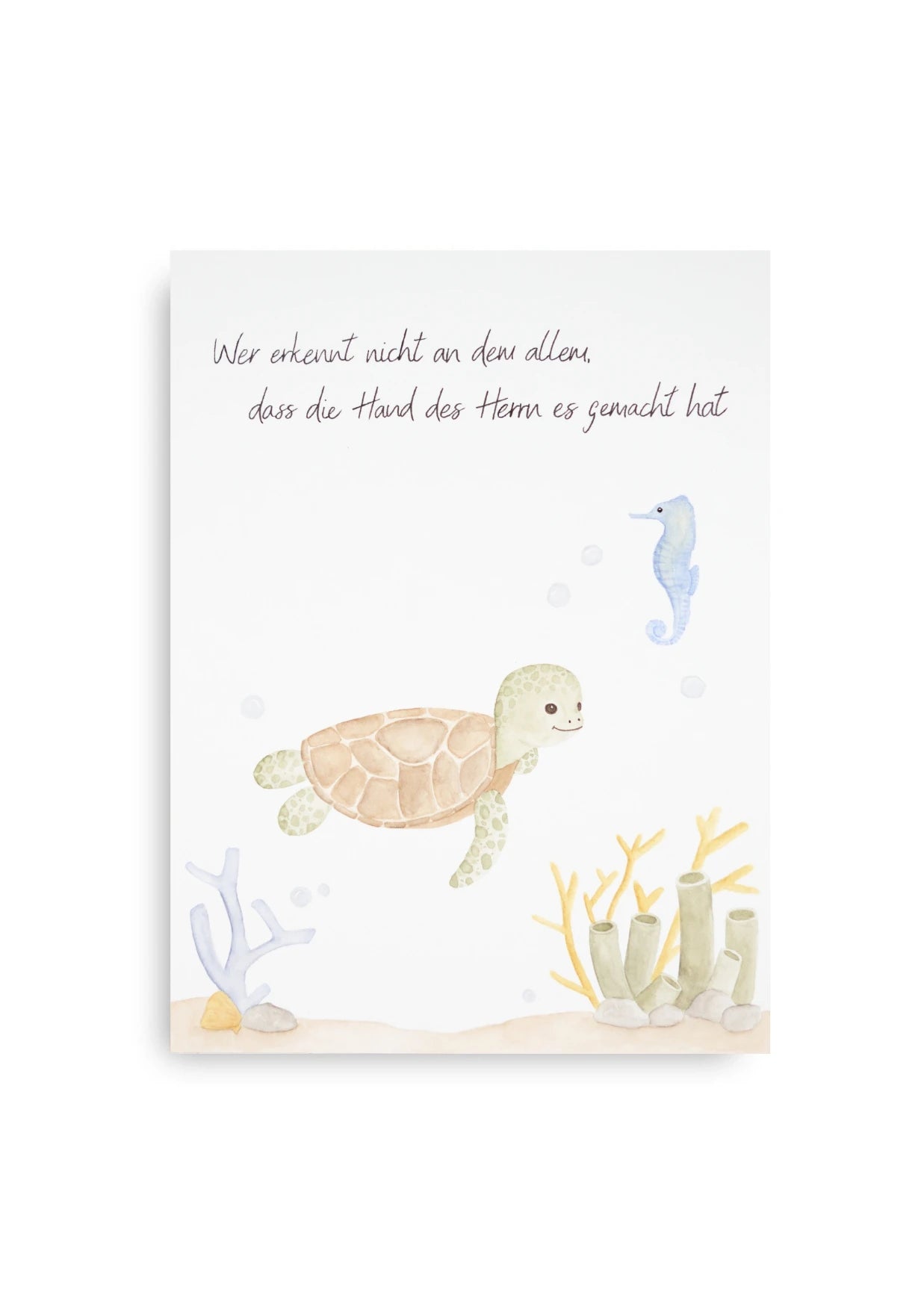 Aquarellbild - Die kleine Schildkröte