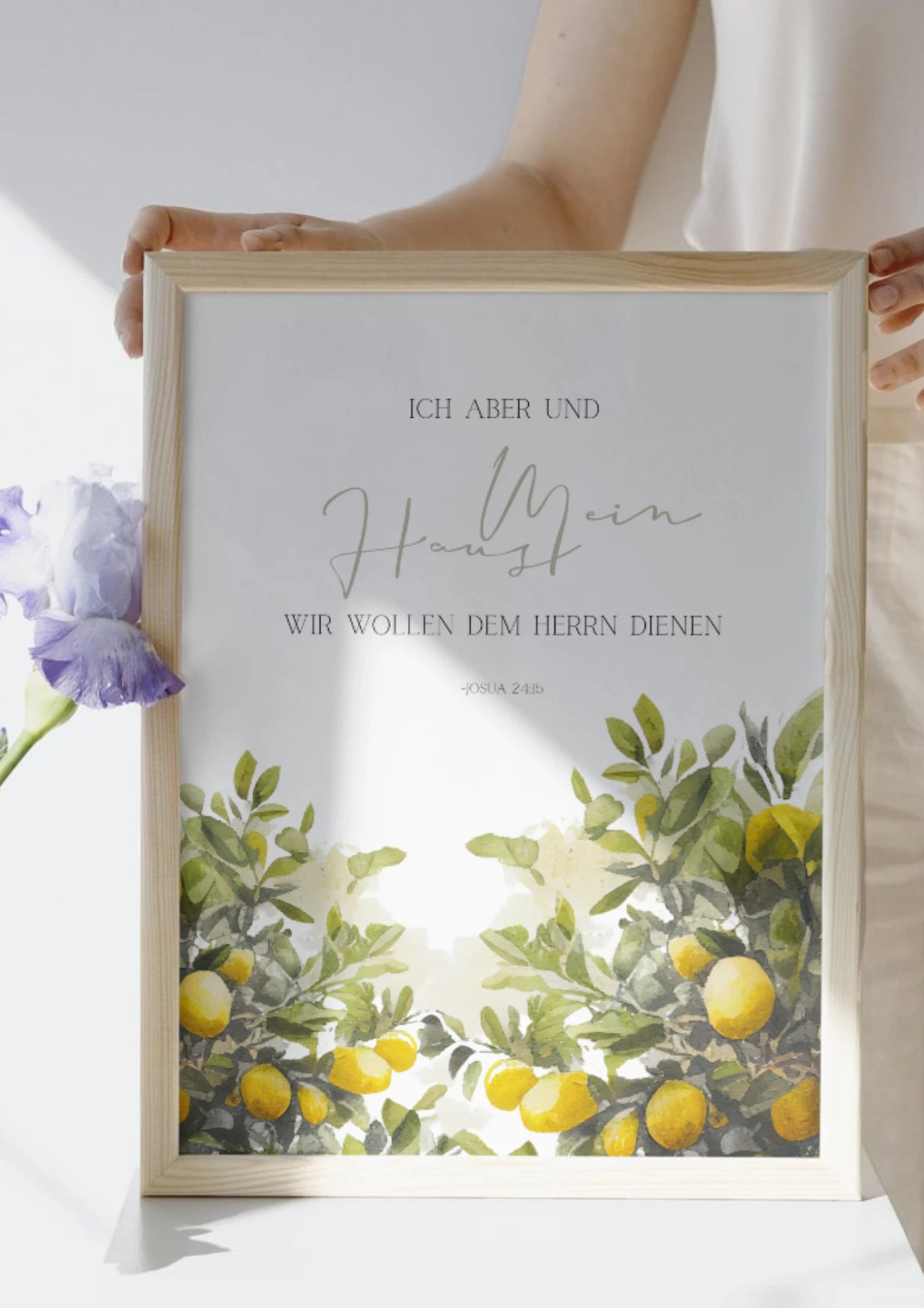 Poster - Citrus